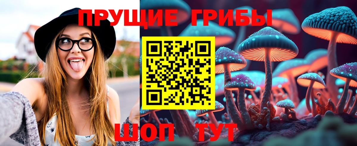 Псилоцибиновые грибы MAGIC MUSHROOMS Донецк